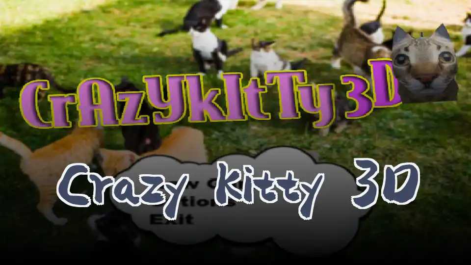 Crazy Kitty 3D