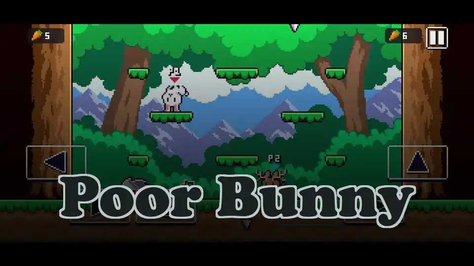 Poor Bunny